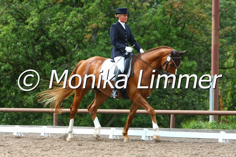 109M1956_Rely on me_Dresspferde_A.JPG